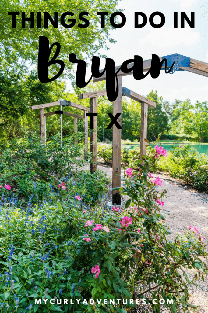 Things to Do in Bryan TX pin image