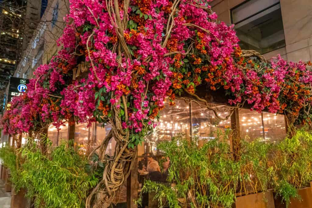 Pink flowers on the covered patio seating