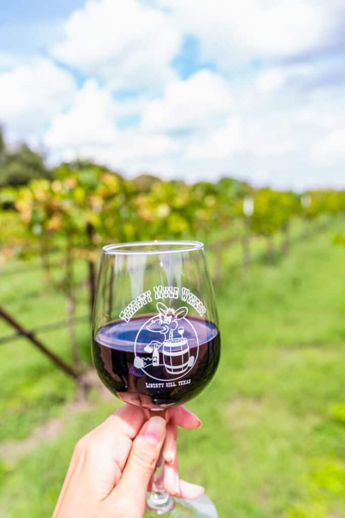 Grape vines with a wine glass in the foreground that says "Thirsty Mule Winery"