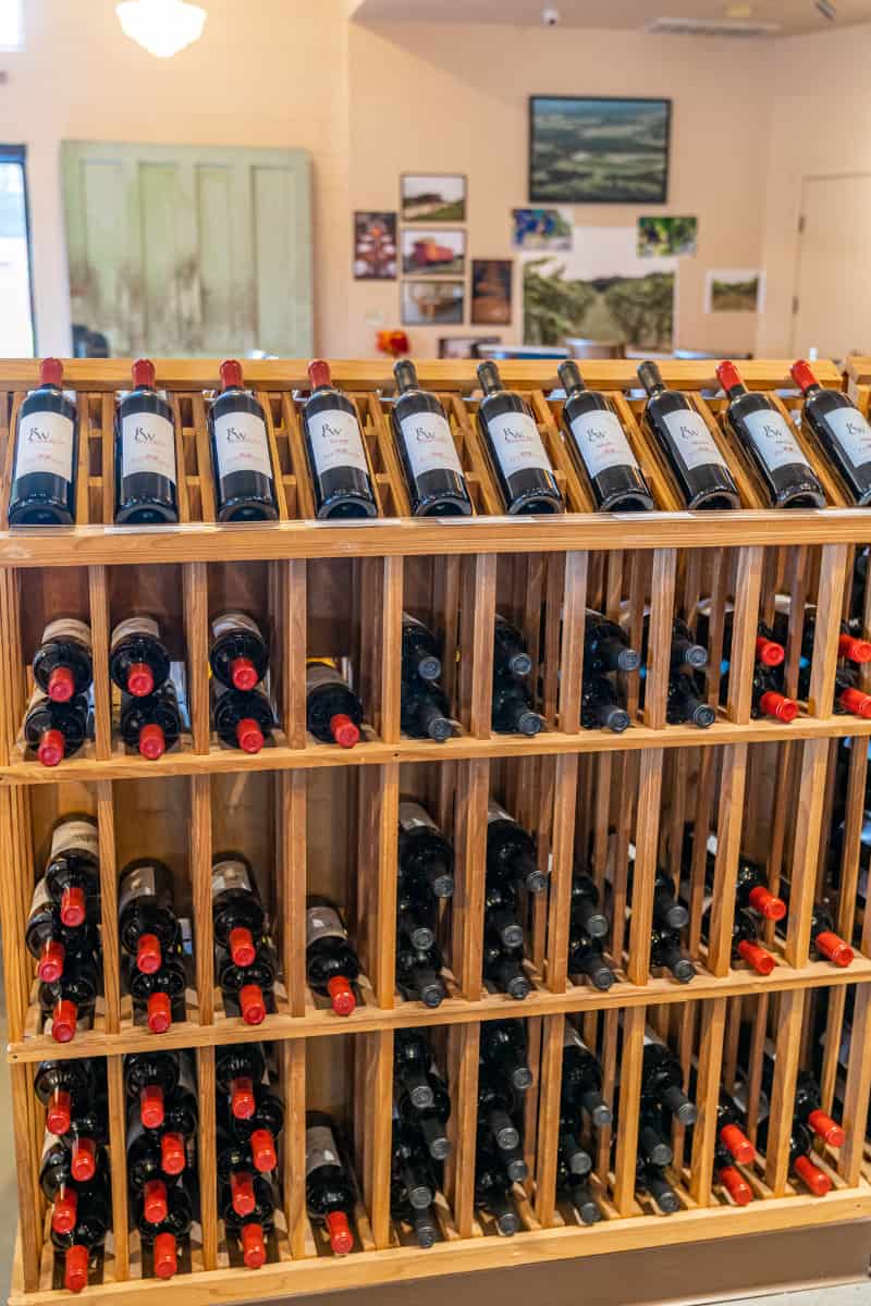 Wine rack full of bottles of wine