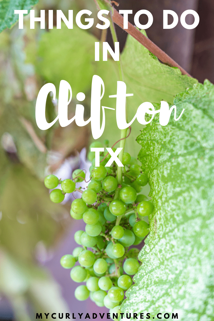 Things to Do in Clifton Tx