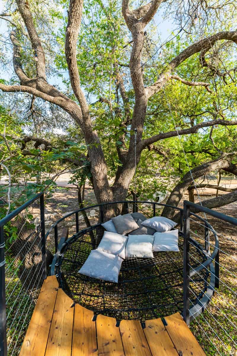 Circular swing hanging from a tree in Onera Fredericksburg