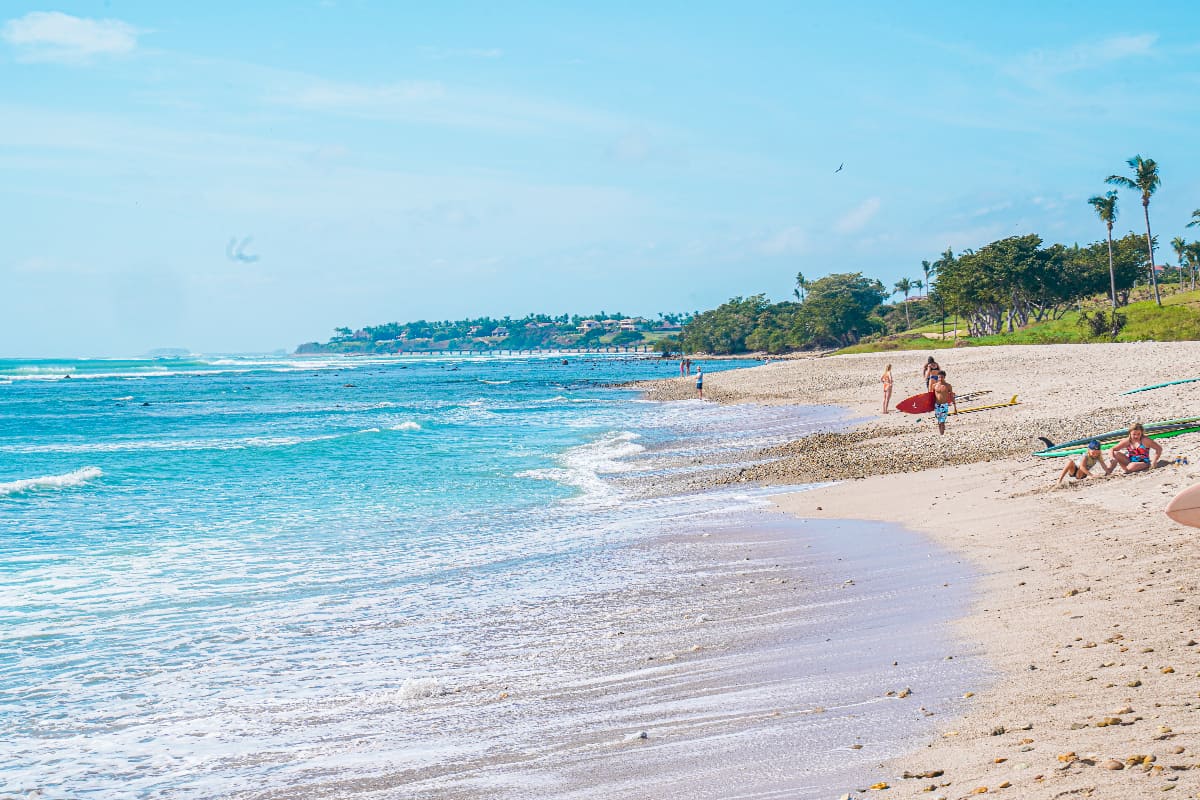 Surfers along the beach