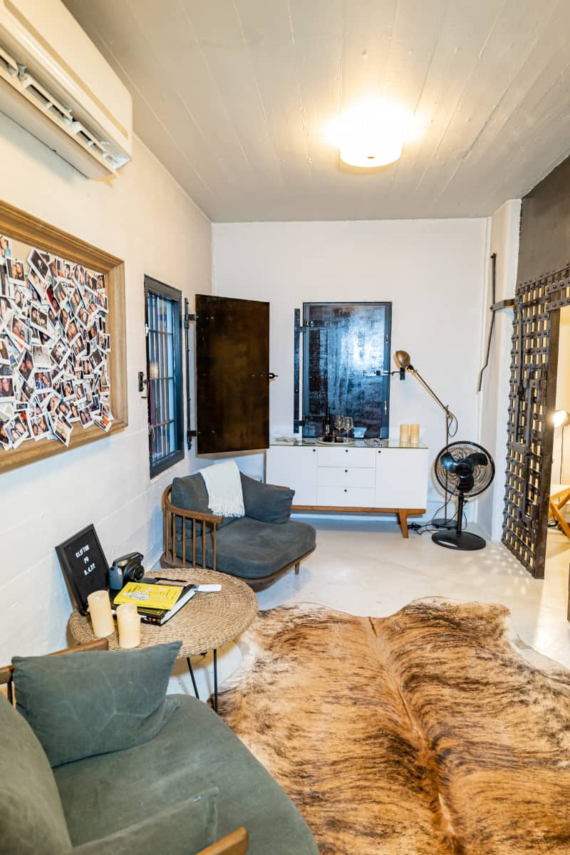 Main living room with two chairs, a TV, and faux fur carpet