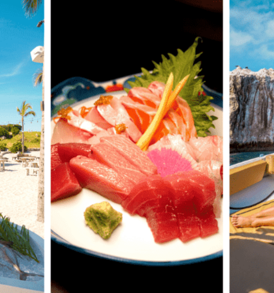 32+ Best Things to Do in Punta Mita, Mexico 2023