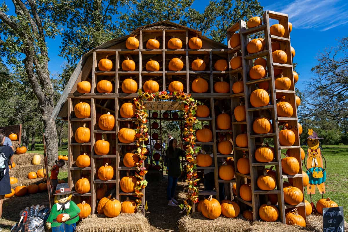 House made out of pumpkins