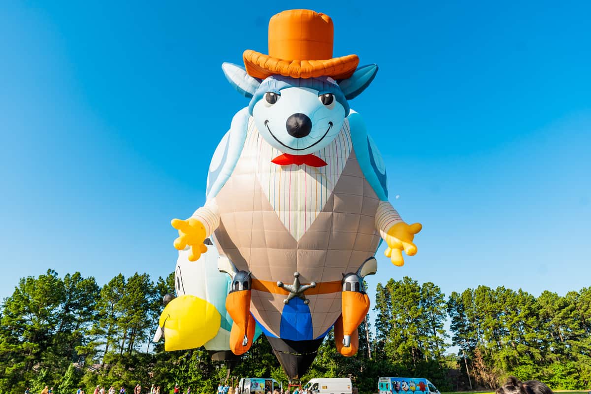 Hot air balloon of an armadillo wearing a cowboy hat