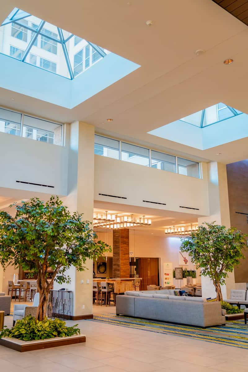 Hotel lobby with fake trees and skylights