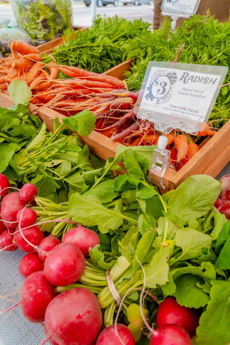 Fresh radishes and carrots