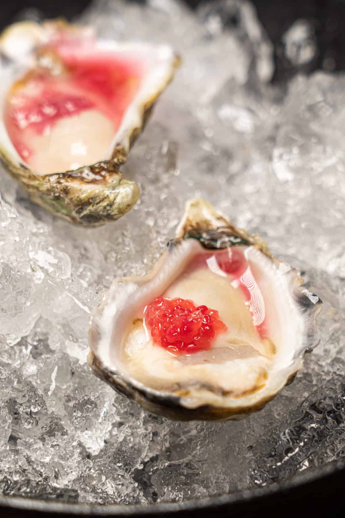 Oysters on ice