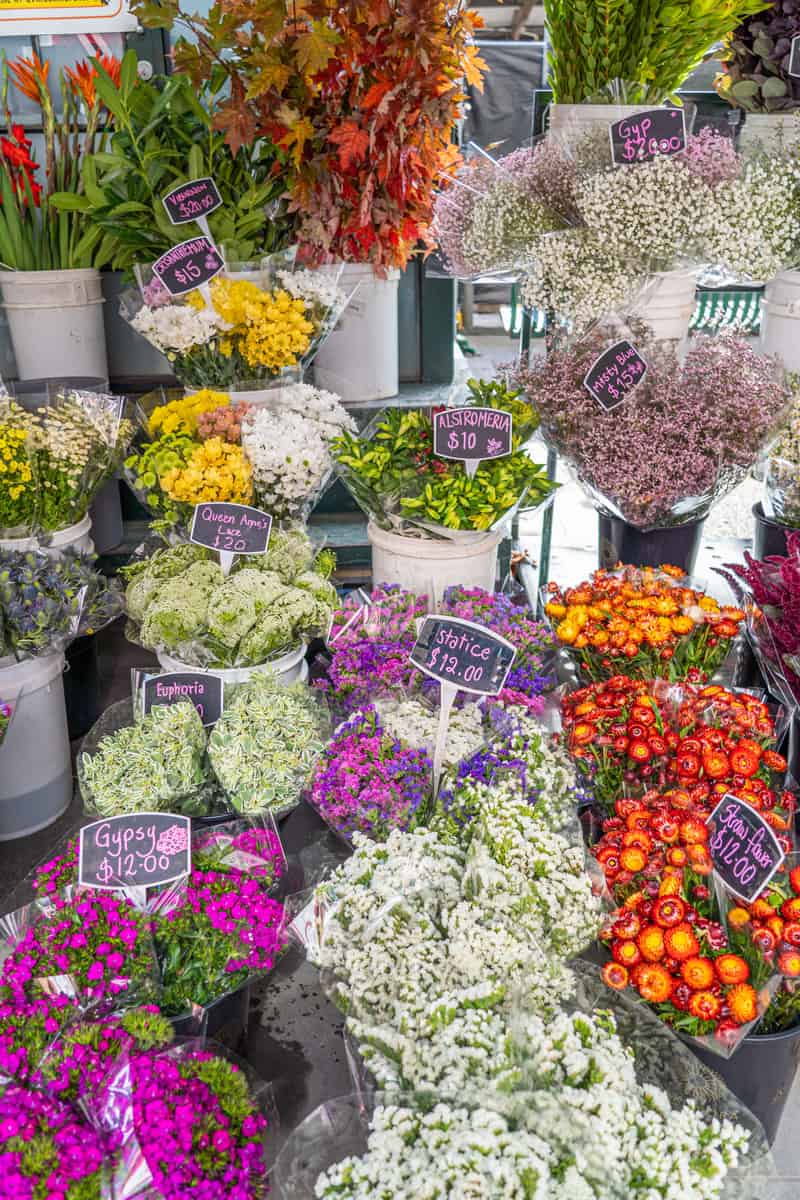 Display of fresh flowers