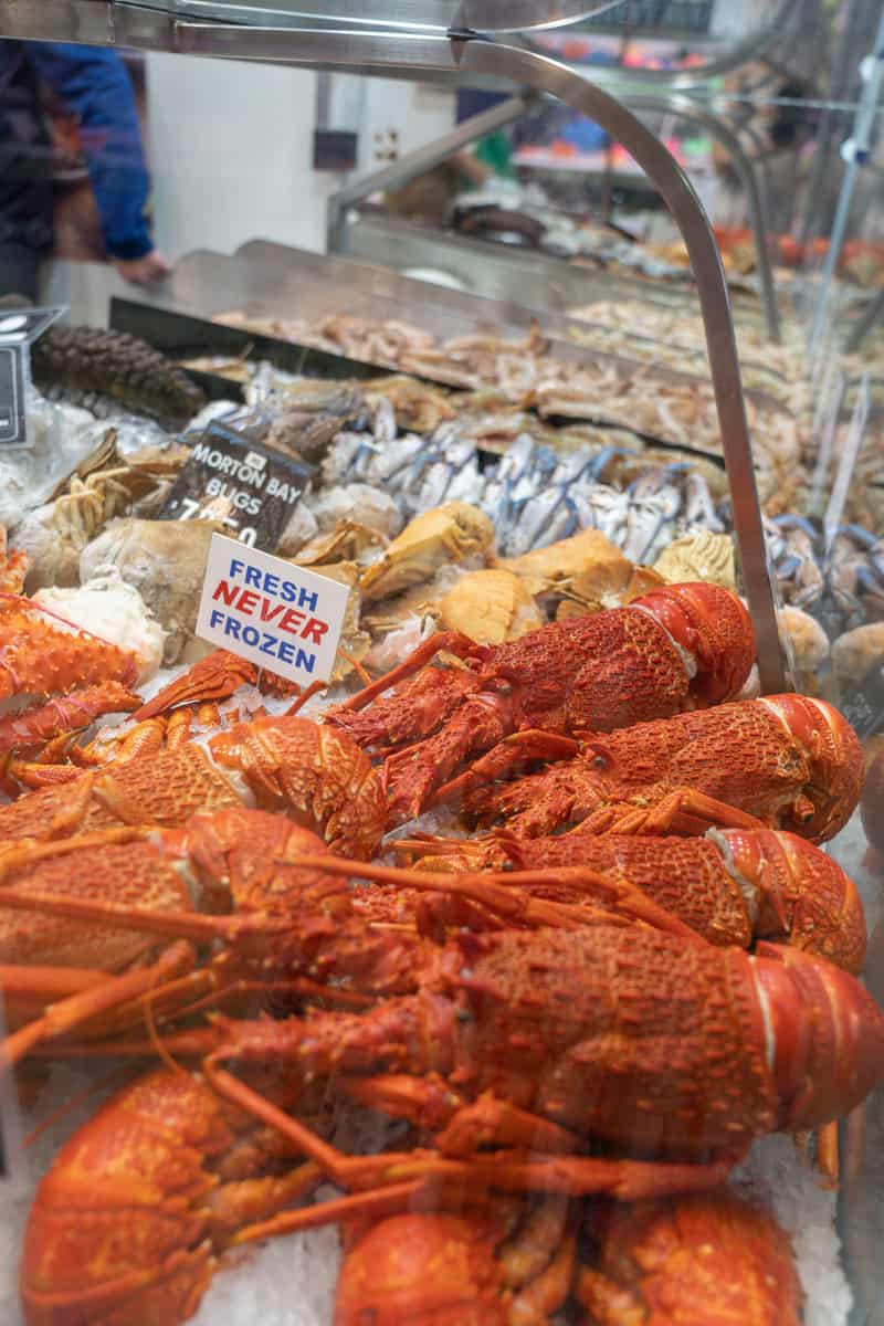 Display of fresh seafood with lobster