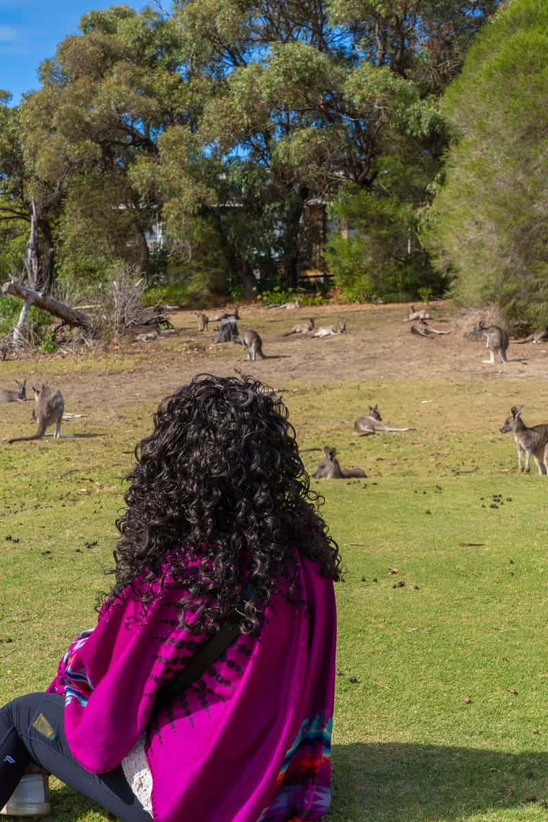 Woman sitting on the ground and watching kangaroos