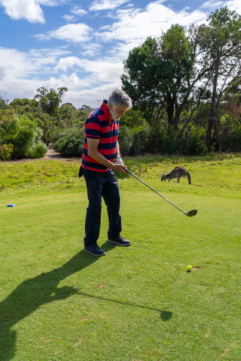 Man golfing with a kangaroo nearby
