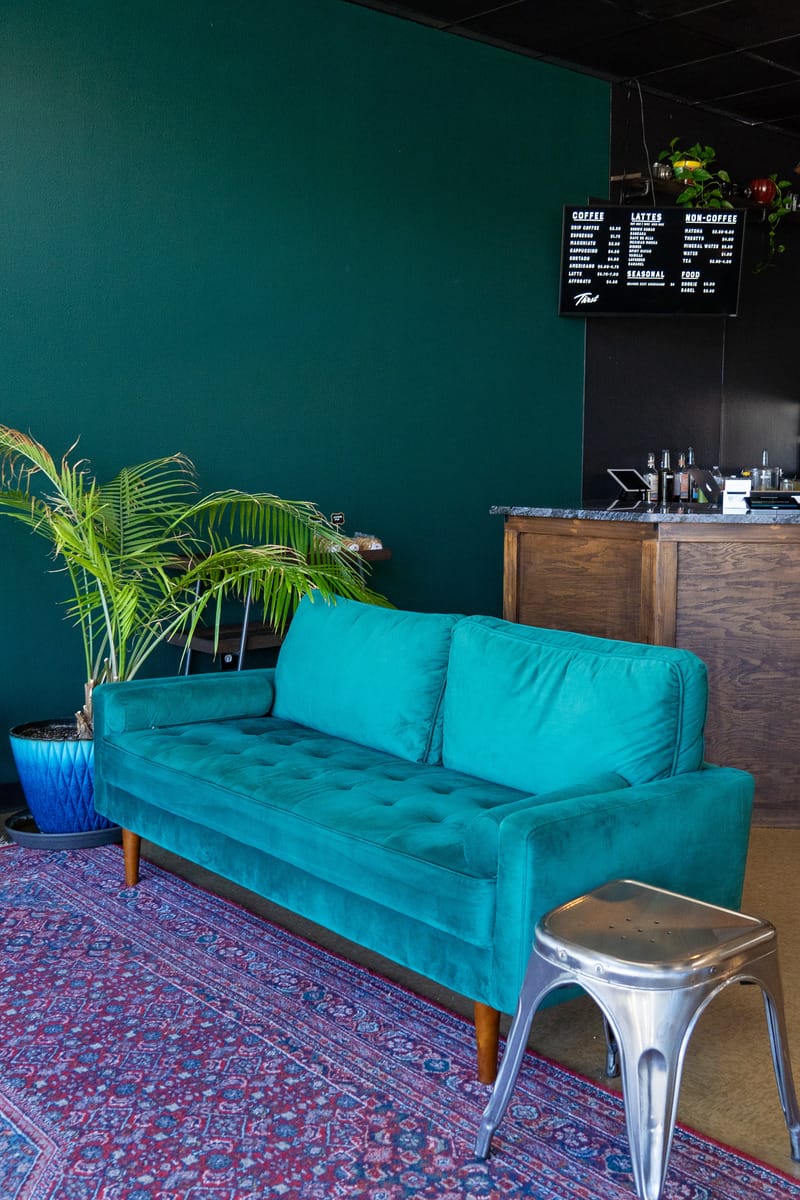Deep green couch with a potted plant next to it and its back to the checkout counter