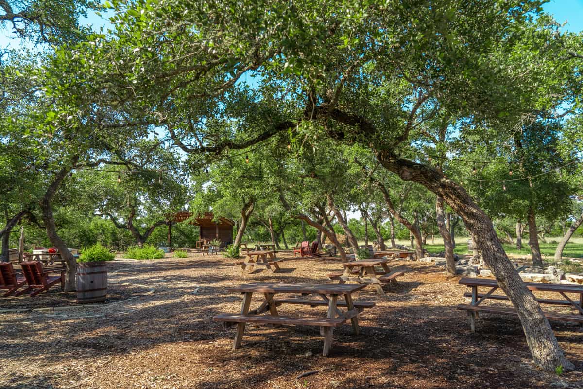 Outdoor picnic tables with trees all around