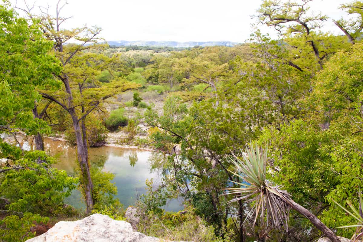 View of Frio River
