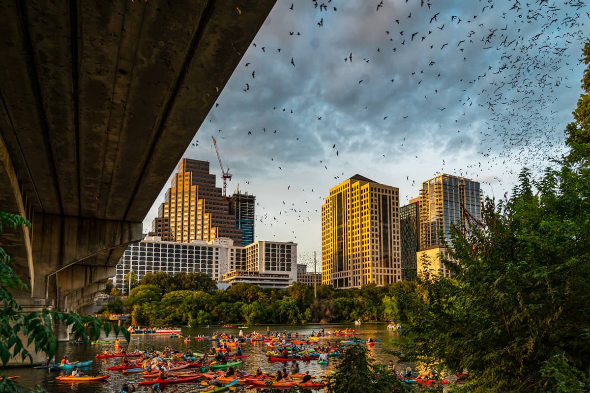 Free-tailed bats emerge from under the Congress Avenue Bridge