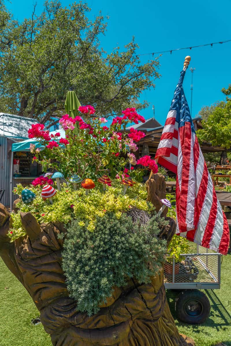 A beautiful flower garden with the flag of United States of America.