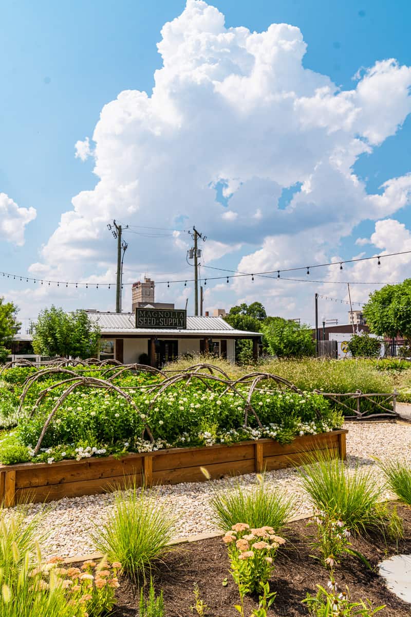 A flower garden where a perfect spot to stroll.