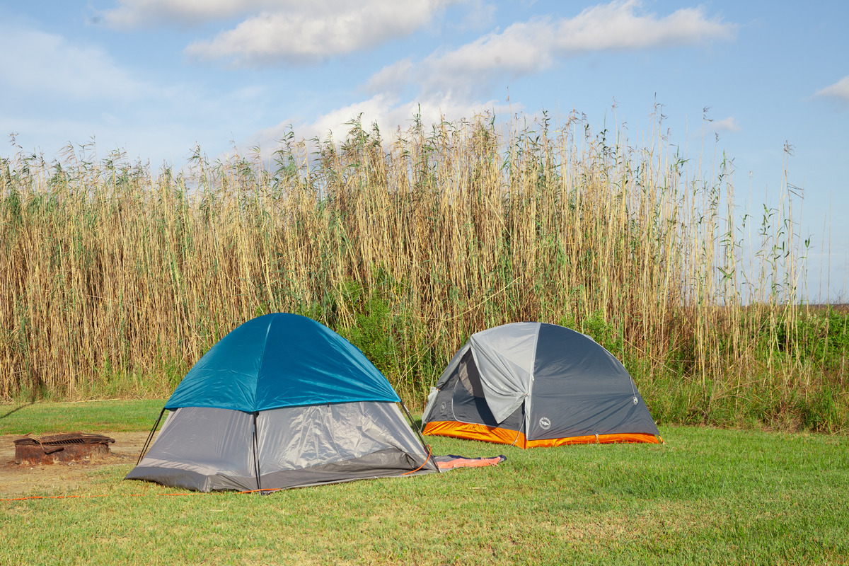 two tents on grass by tall grass