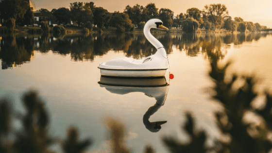 a swan shaped pedal boat on a lake