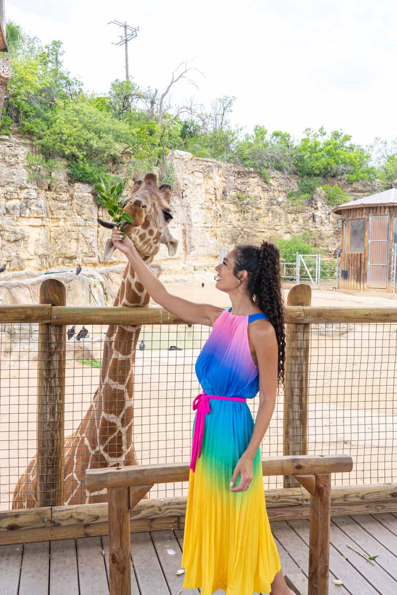A woman with a close encounter of a giraffe