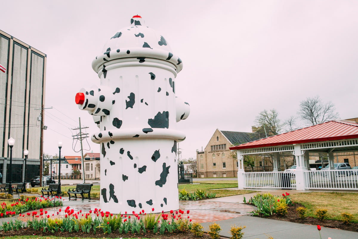 a white and black fire hydrant with red and white spots