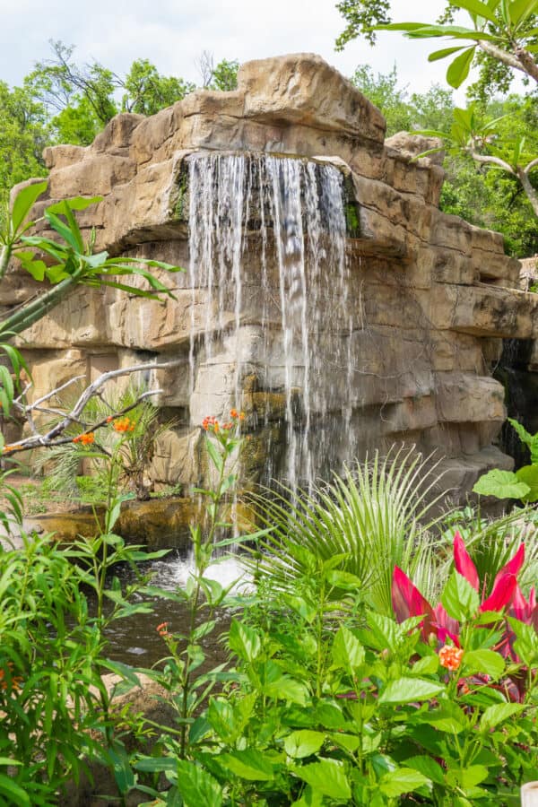 best-fun-date-ideas-in-san-antonio-tx-for-couples-my-curly-adventures