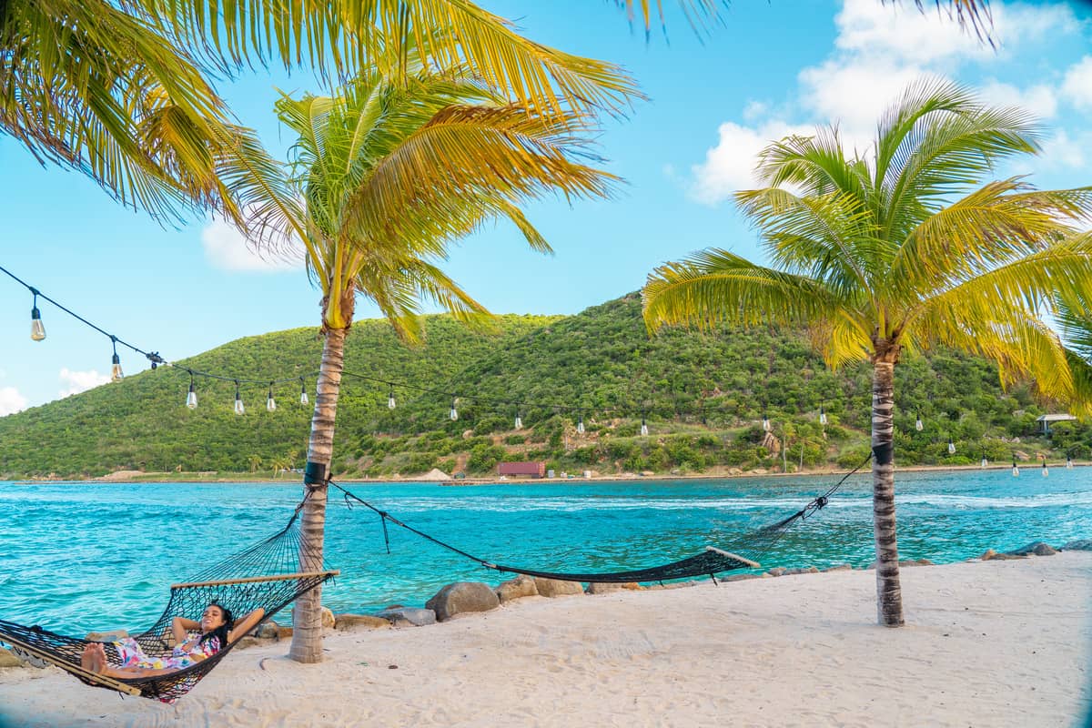 a person lying in a hammock on a beach with palm trees