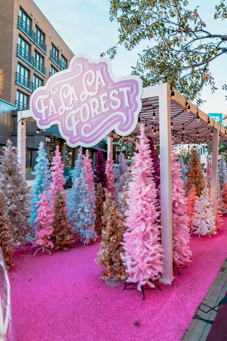 Best Christmas Lights in Dallas My Curly Adventures