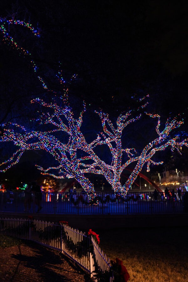 Best Christmas Lights in Dallas My Curly Adventures