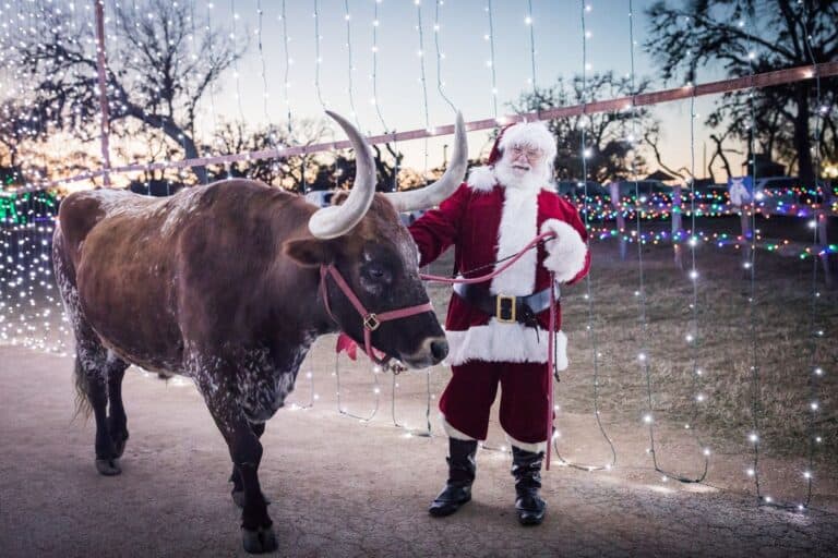 Christmas Events & Holiday Things To Do in Boerne TX My Curly Adventures
