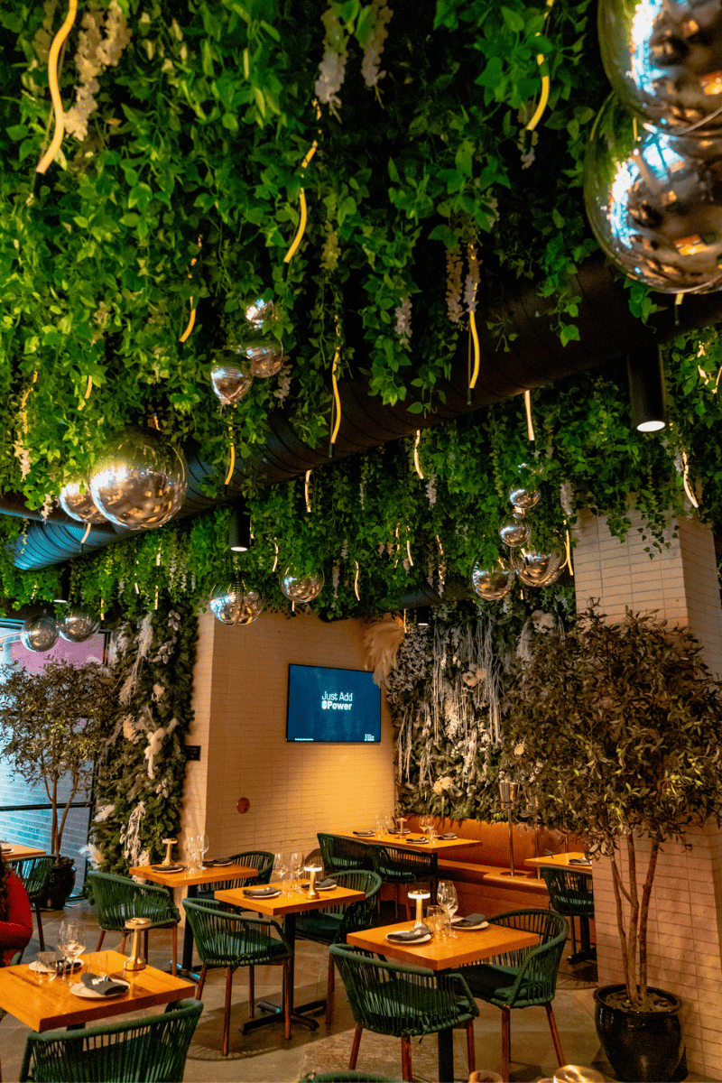 A cozy restaurant with lush hanging holiday decorations.