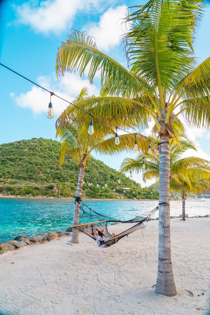 a person in a hammock between palm trees on a beach