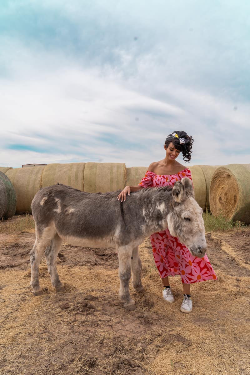 A woman in a pink dress with her hand on the neck of a gray and white donkey. There are bales of hay behind her.
