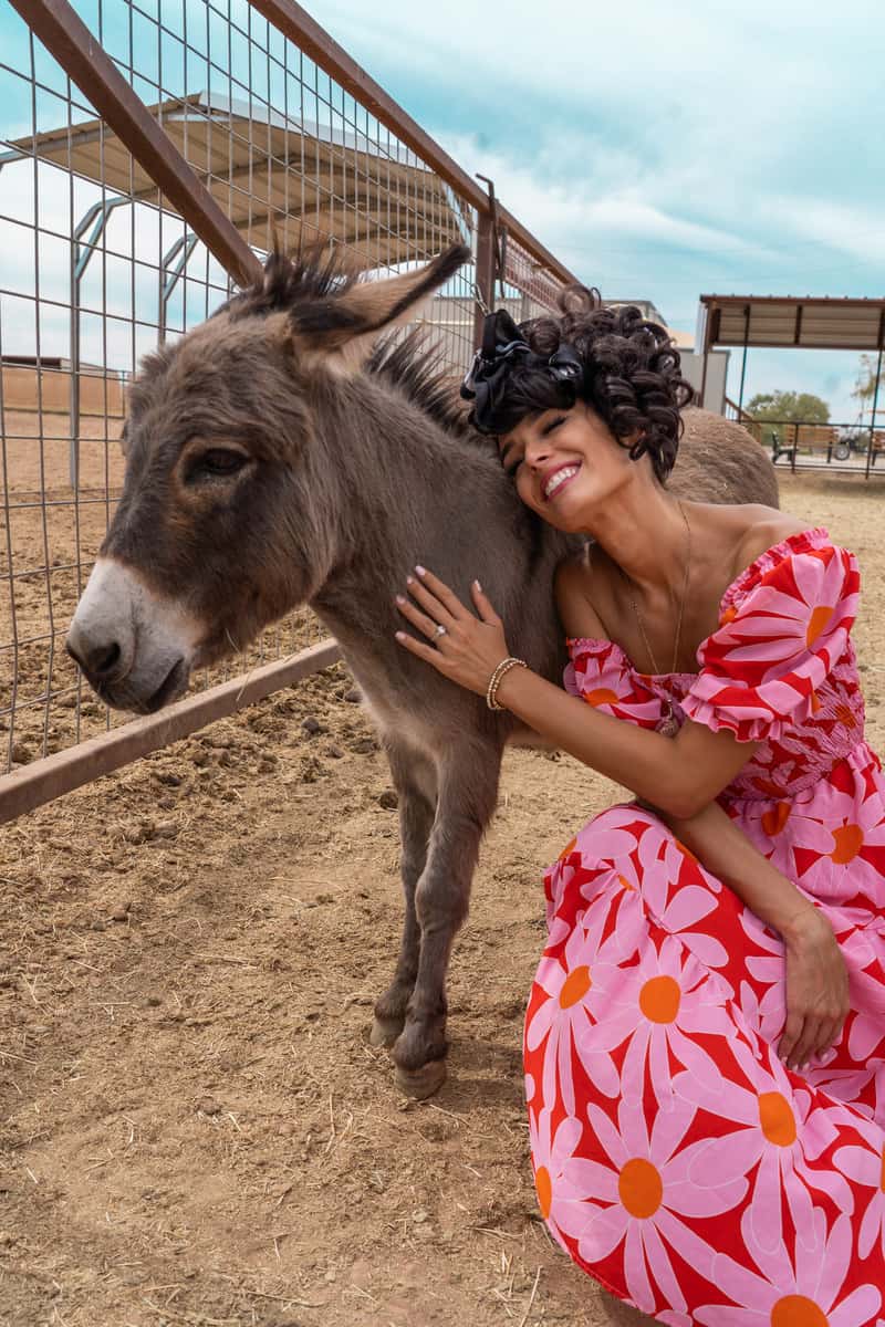 Woman in a pink dress crouched down next to a brown donkey. She has her hand on its neck and she's leaning her head on it.