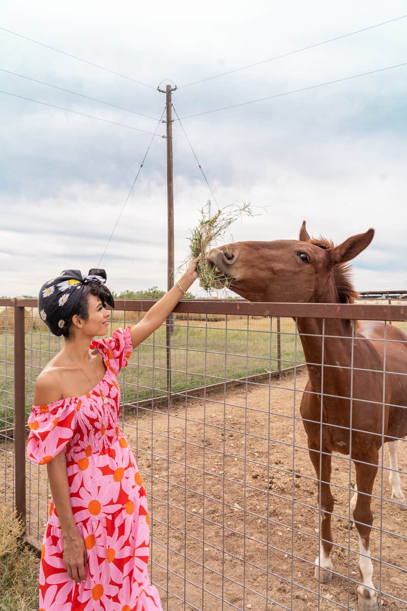 Woman in pink feeding some grass to a brown horse that is behind a see-through fence.
