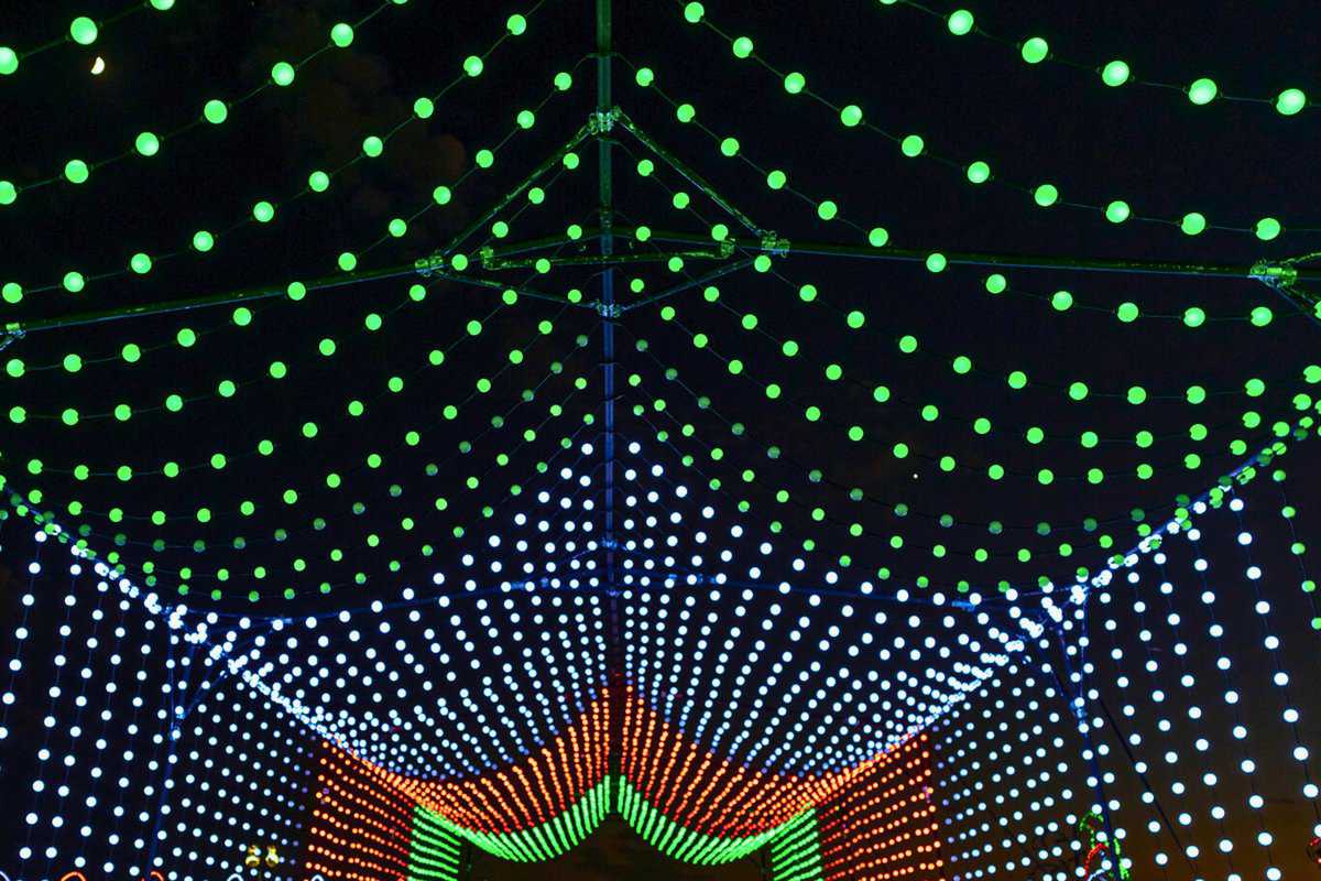 Illuminated green and white canopy of festive lights against a dark sky.