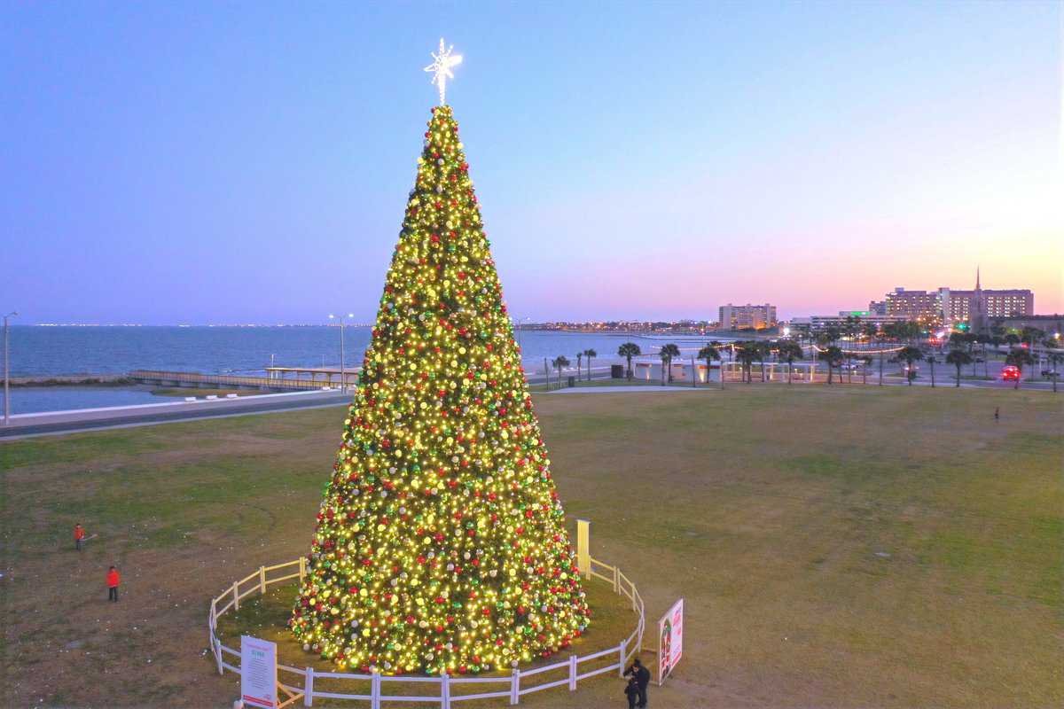 A large, illuminated Christmas tree at twilight near a coastline 