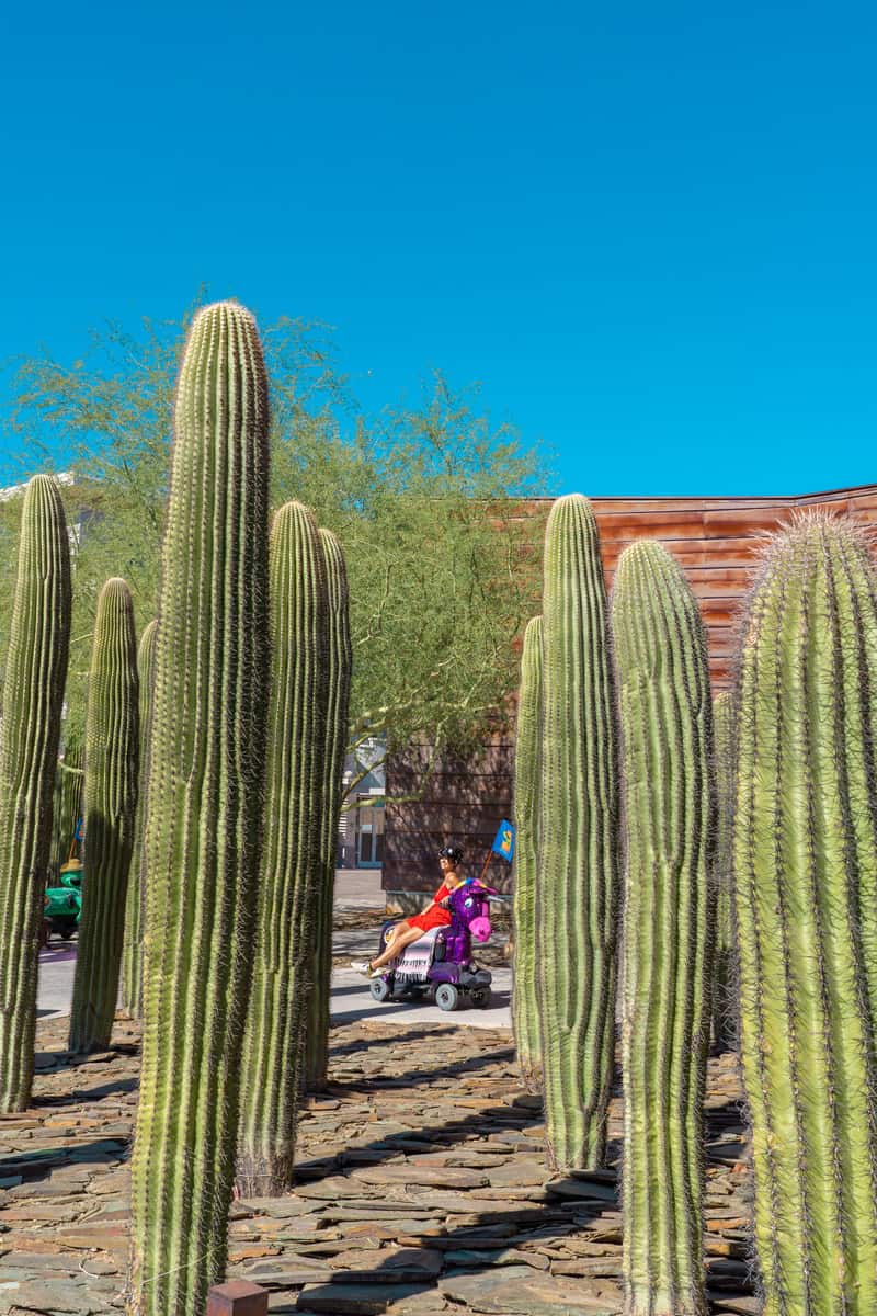 A woman sitting on a motorized pink unicorn surrounded by tall saguaro cacti
