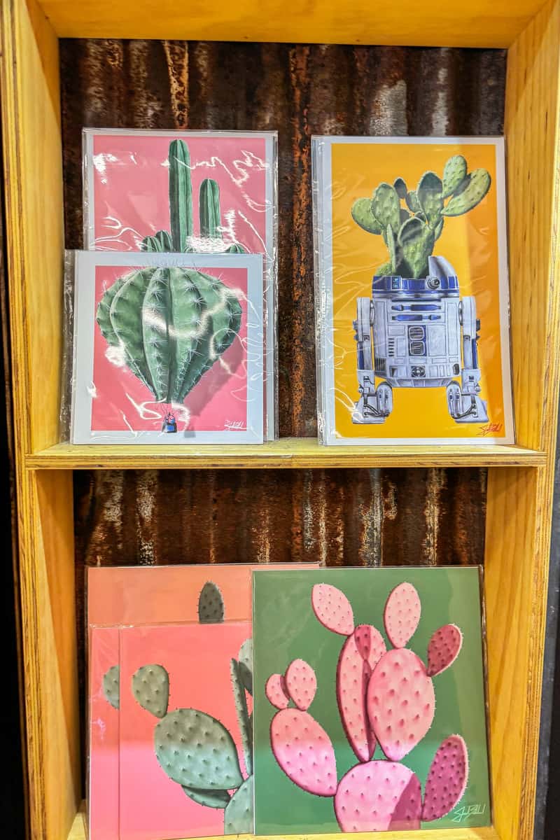 Several colorful cactus prints on display, wrapped in clear plastic