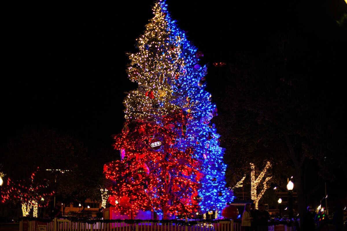 Illuminated Christmas tree with red and blue lights at night.