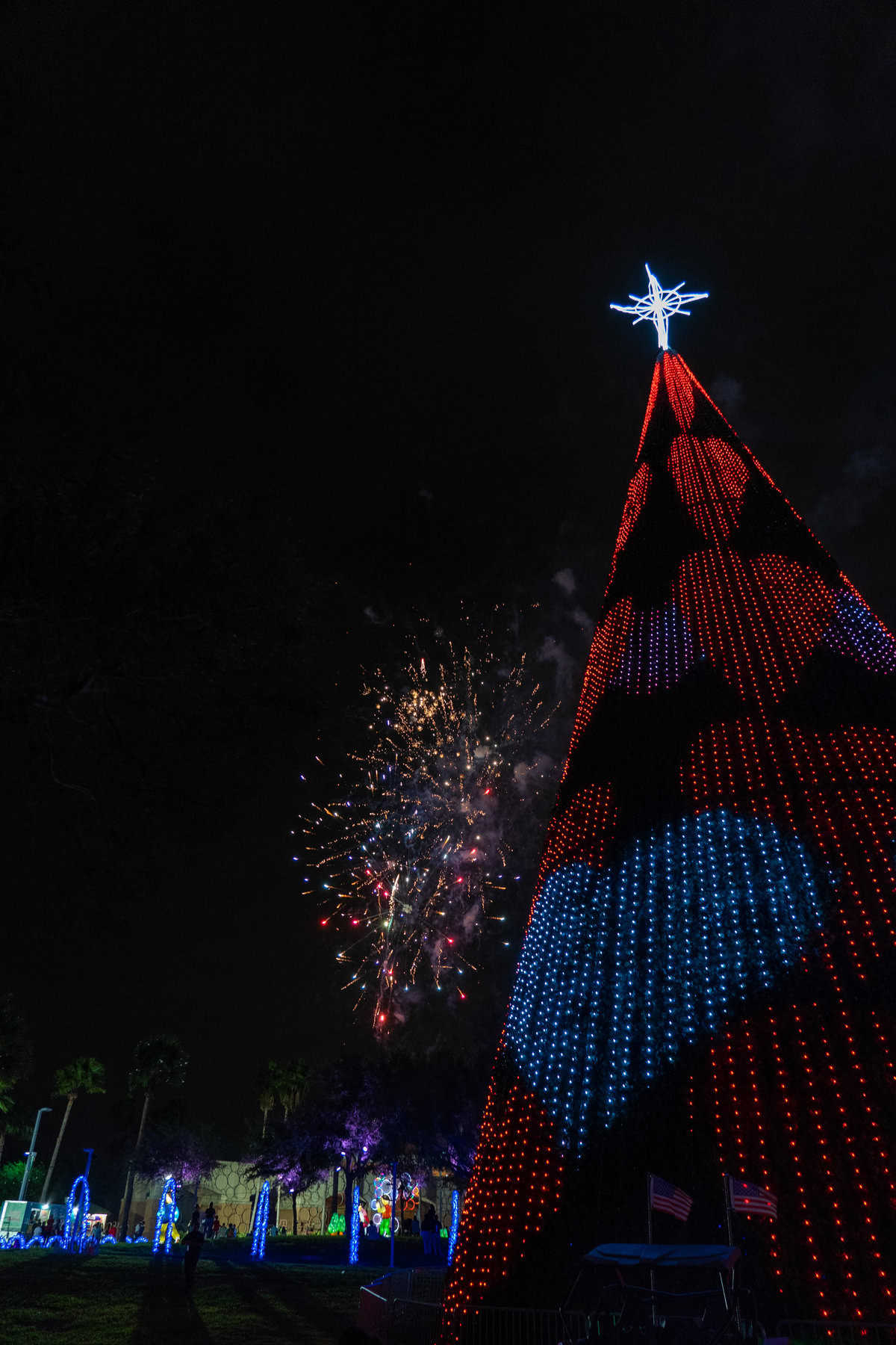 Illuminated Christmas tree-shaped light display