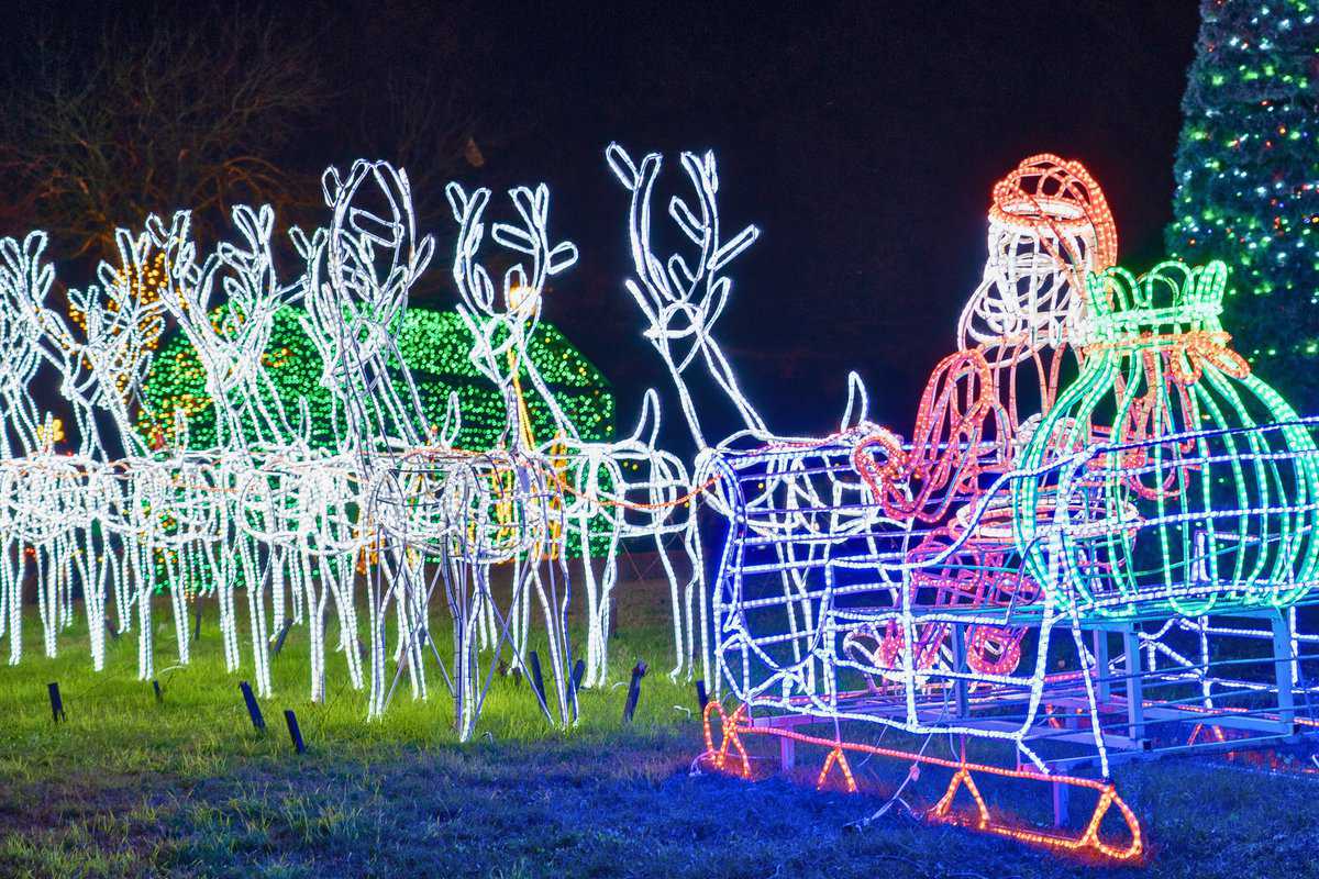 Illuminated reindeer and sleigh light decorations at night.