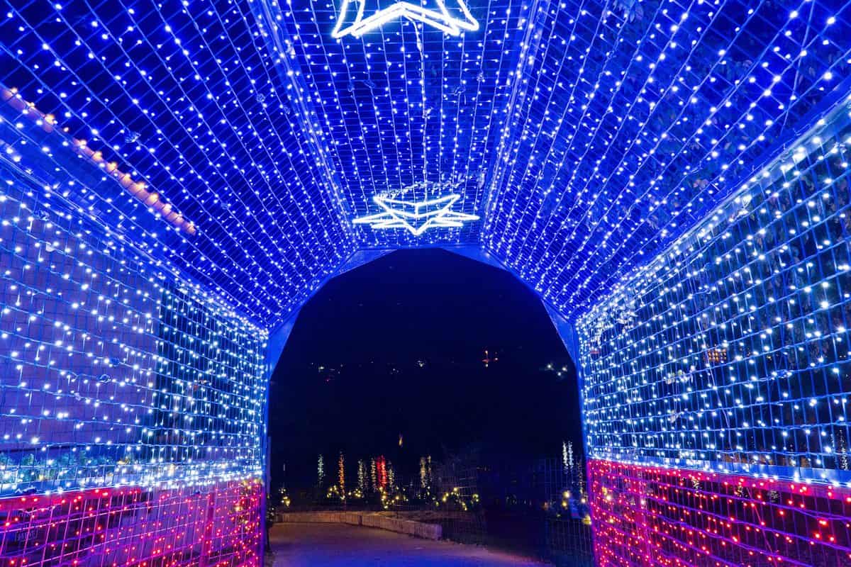 Illuminated blue tunnel of festive lights with a star shape at the top.