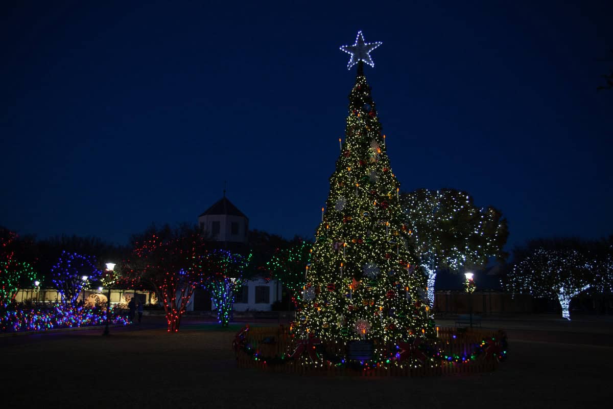 Illuminated Christmas tree at night with festive lights