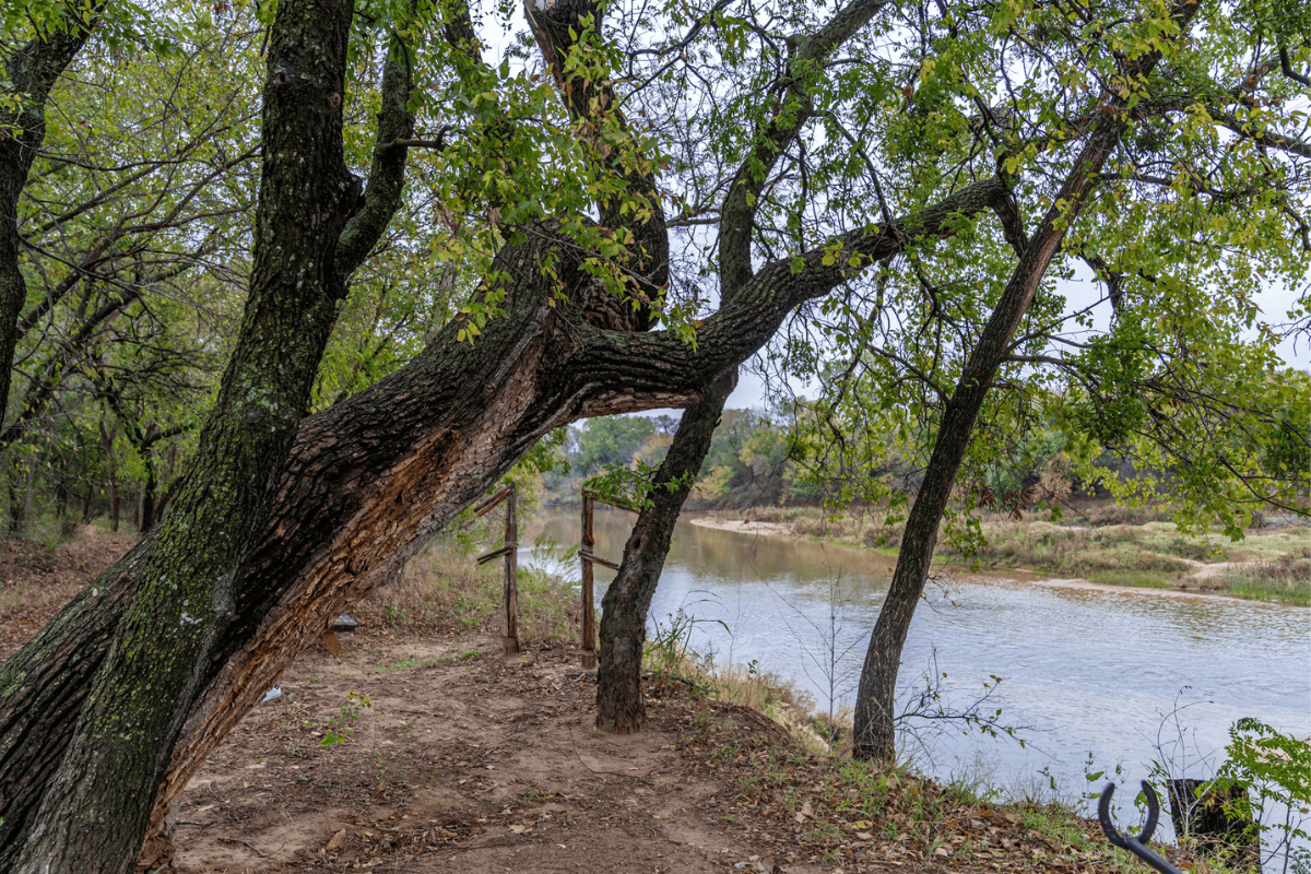 A view of a beautiful riverside in fuller's folly river ranch