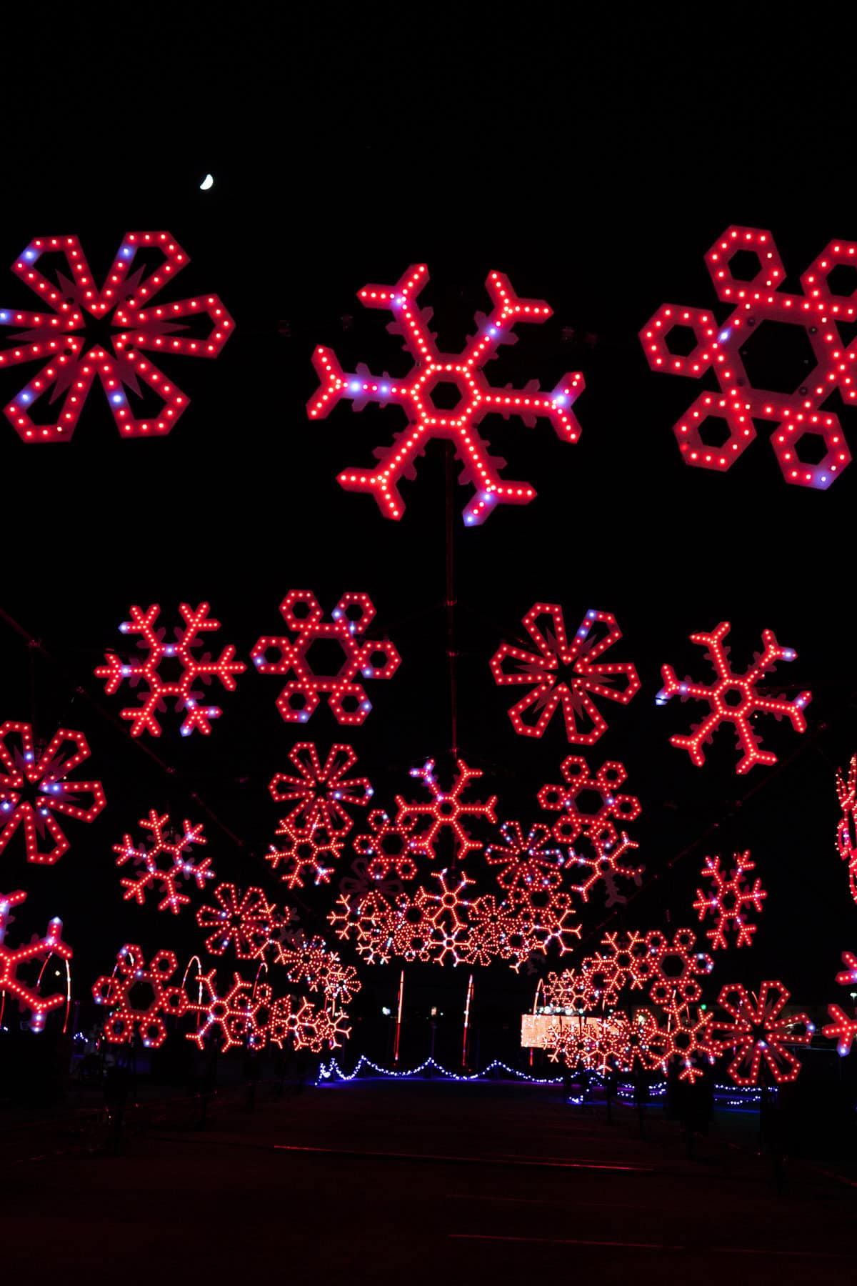 An array of red and blue illuminated snowflake lights against a night sky.