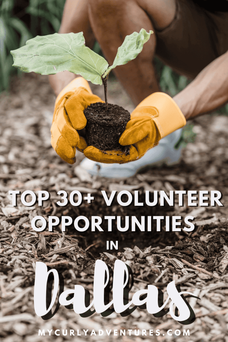 volunteer oportunities in dallas